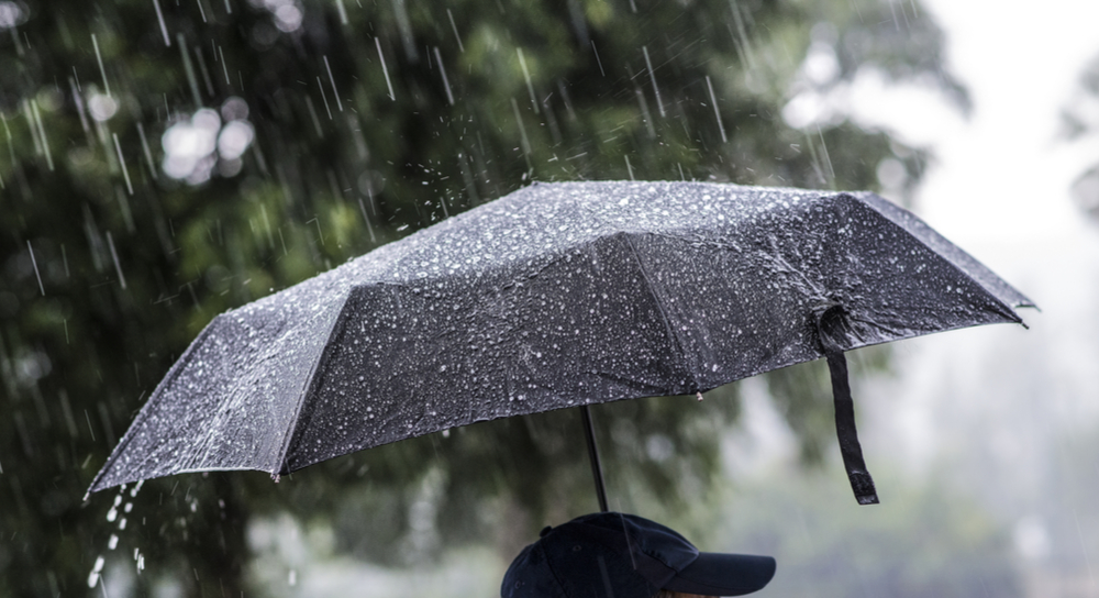 Person with an umbrella in the rain