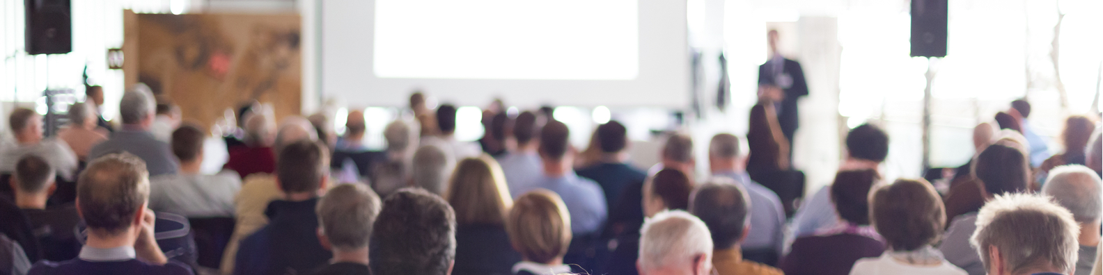 Seminario sobre gestión de bibliotecas de componentes